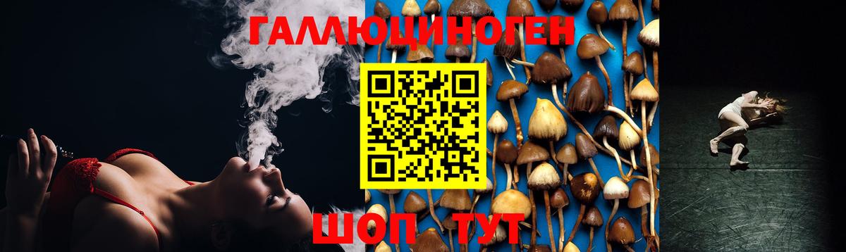 Псилоцибиновые грибы Psilocybe  Вход с VPN  купить закладку  Новотроицк 